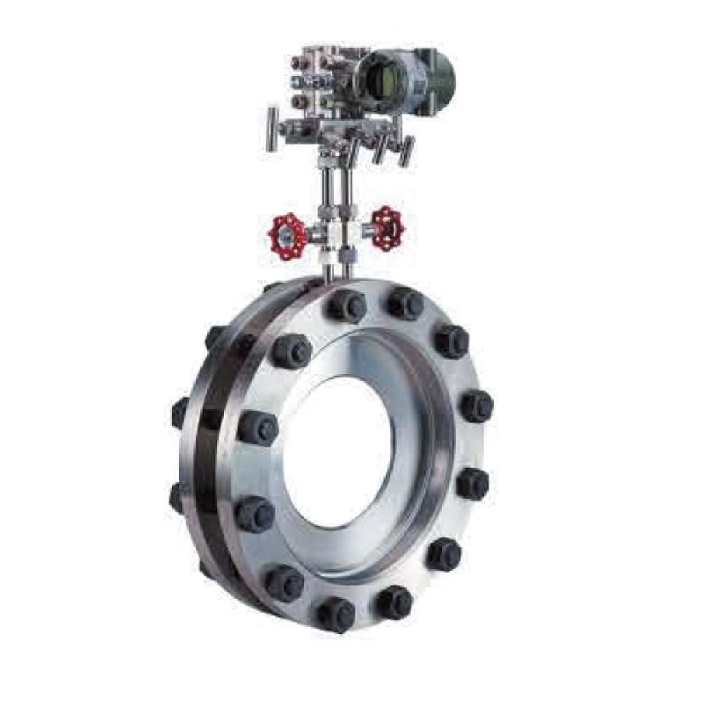 标准差压流量计DP型