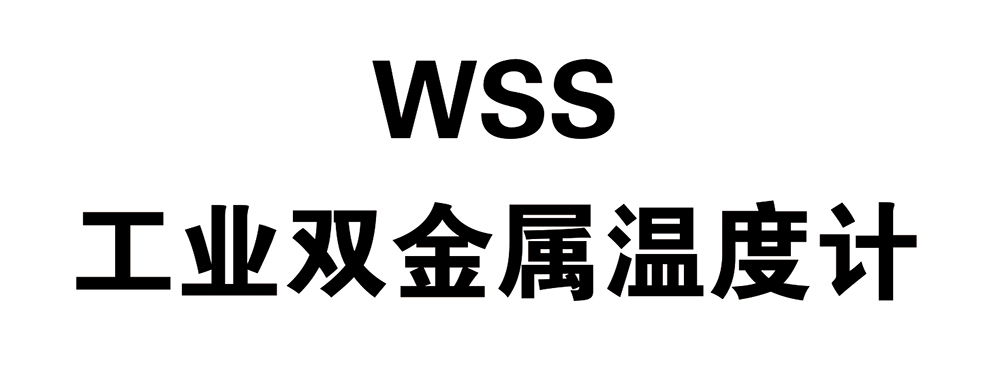 西派温度仪表选型样册2024版-41.jpg