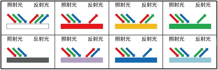 17422572875620.jpg 13.jpg