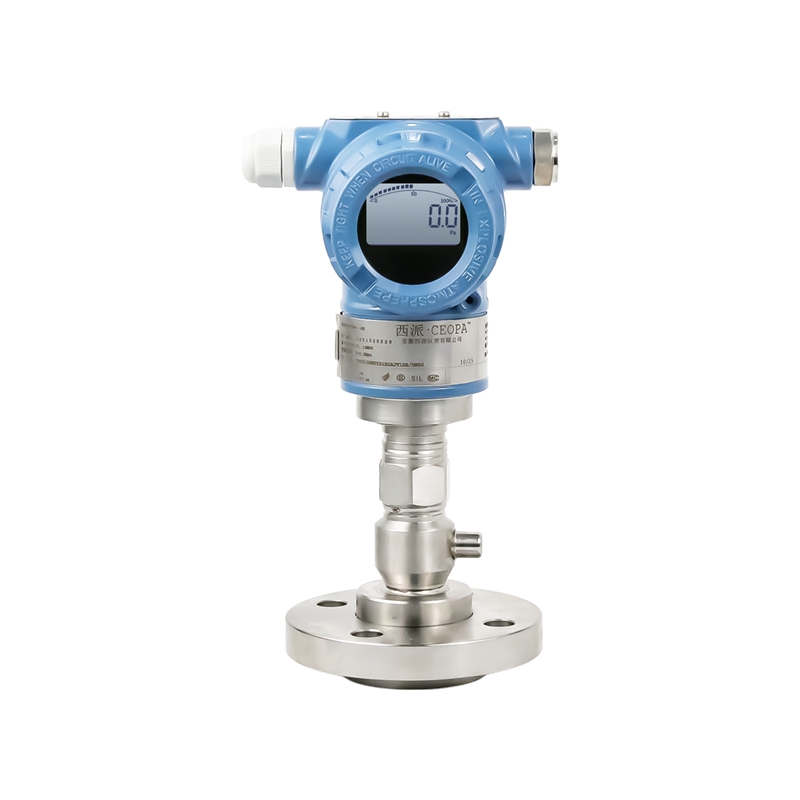 CPS813隔膜变送器