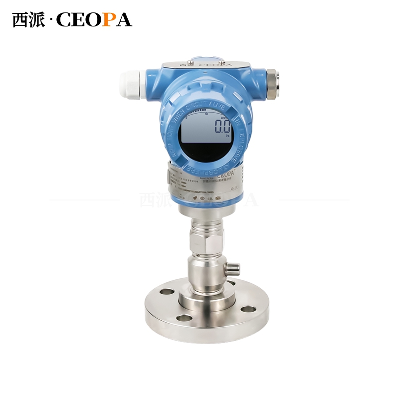 CPS813隔膜变送器